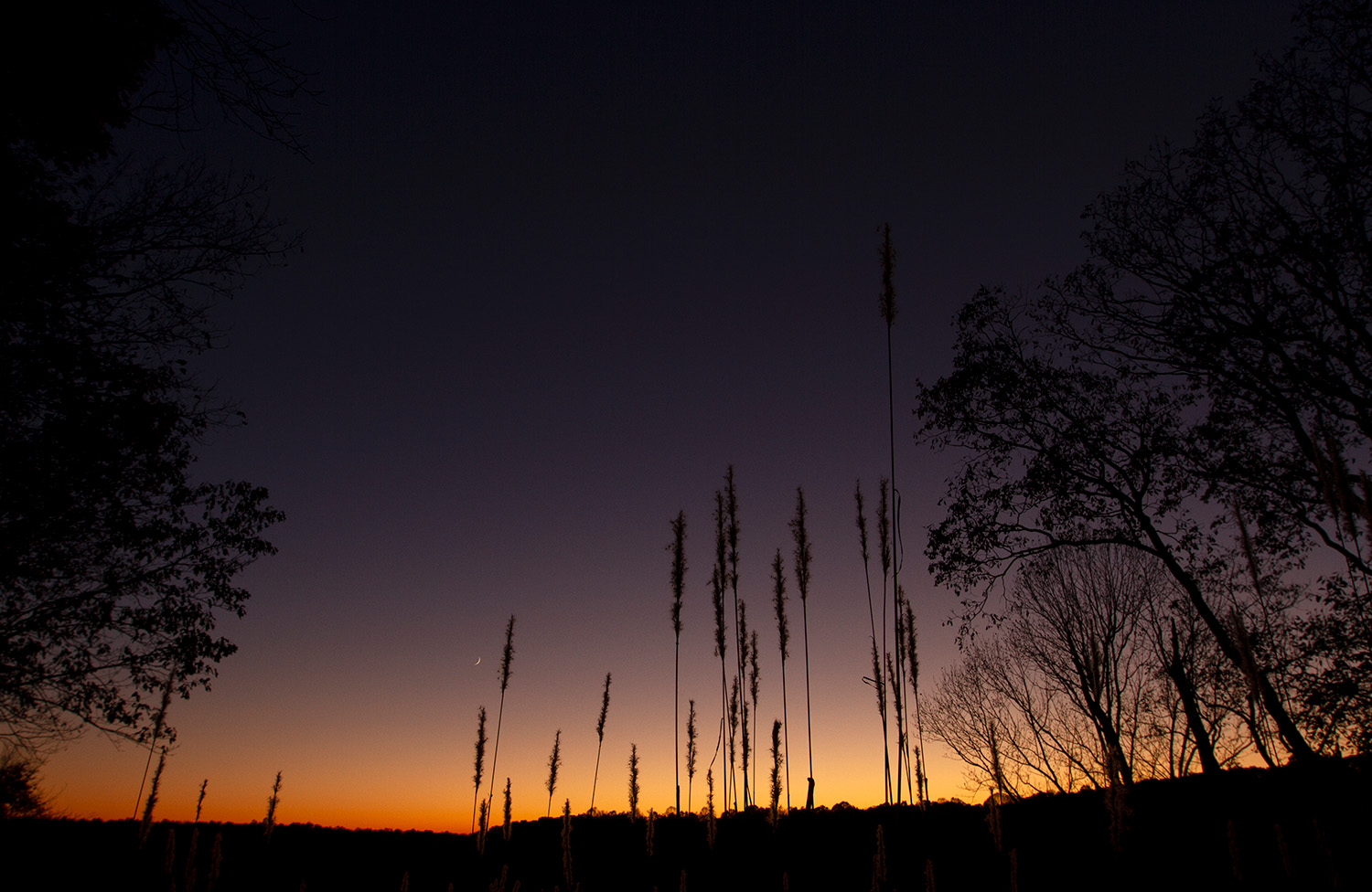 A crescent moon hangs in the sky above Sunset Point at Mammoth Cave National Park in Kentucky Nov. 6, 2021.