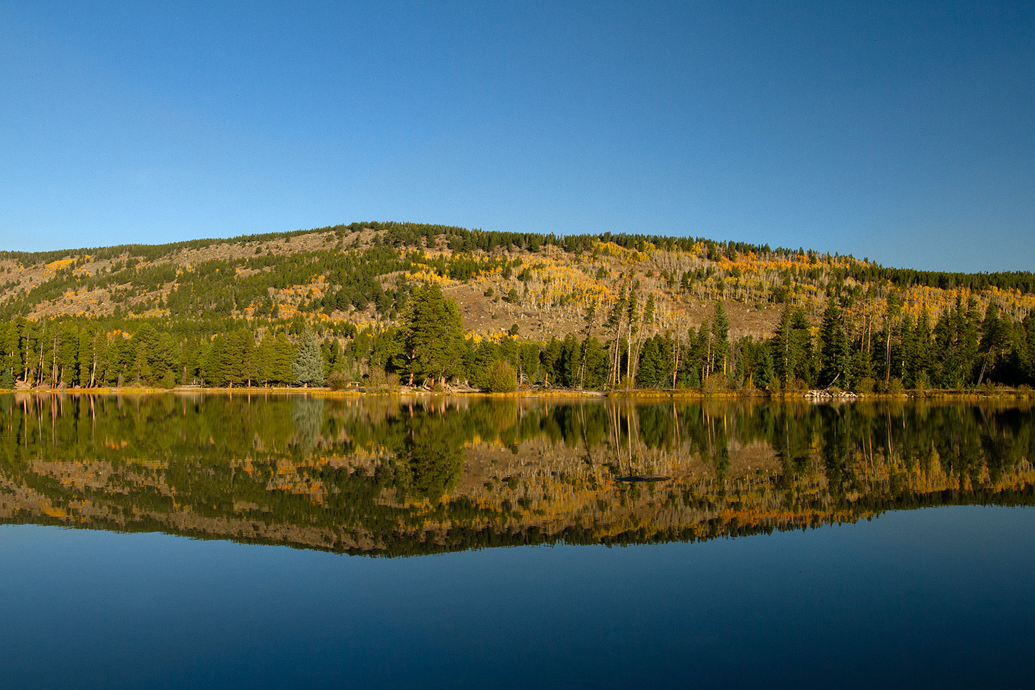 Foliage is reflected on Sprague Lake inside Rocky Mountain National Park in Colorado shortly after sunrise Oct. 6, 2024.